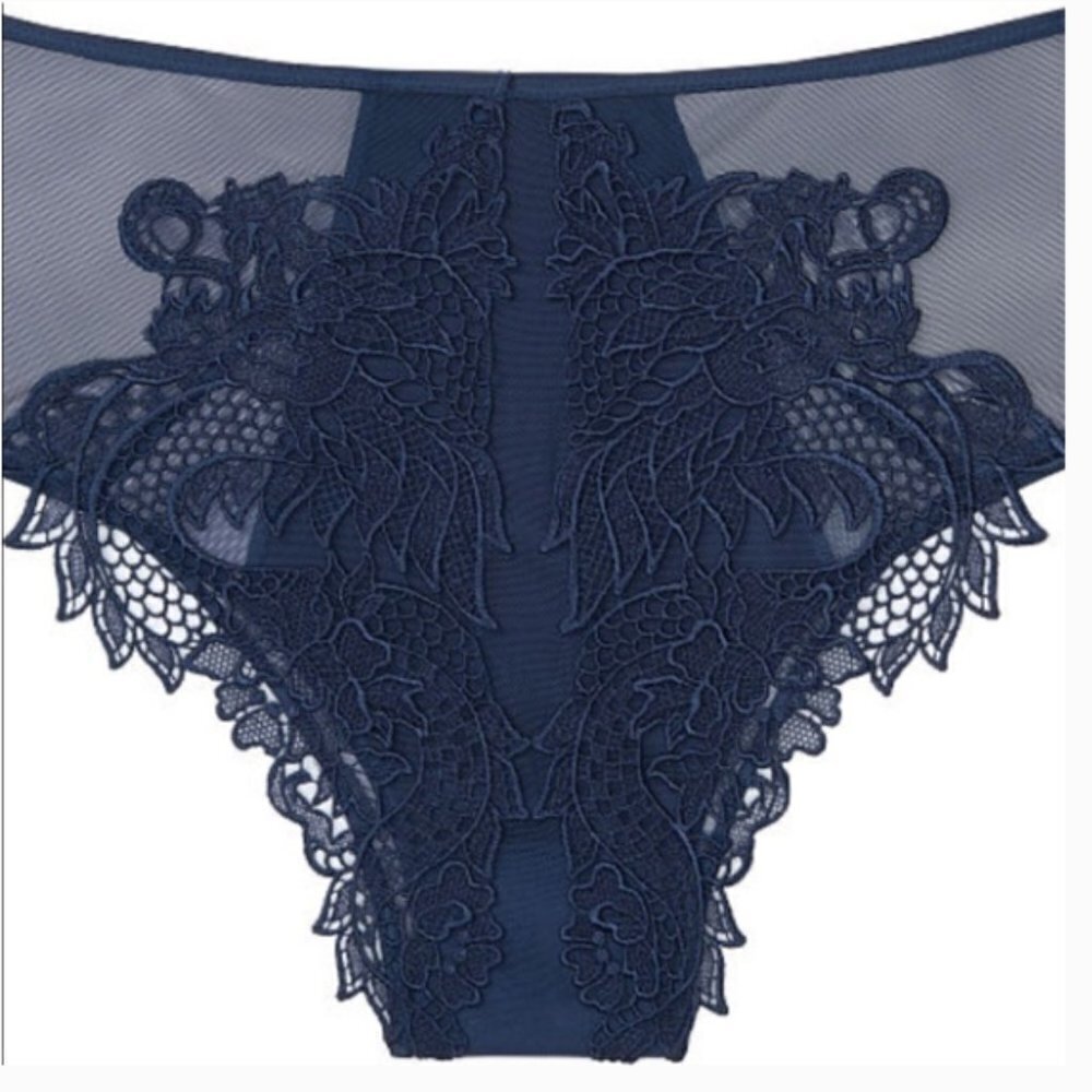 nwt! Victoria's Secret dragon high waist embroidered satin mesh panty lingerie